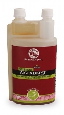 Algua Digest